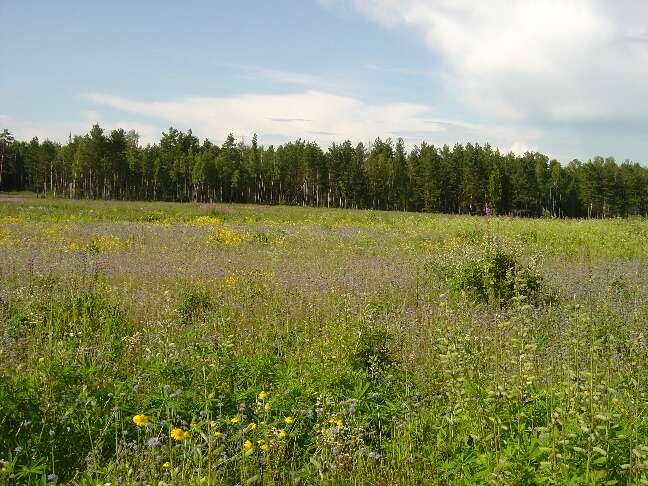 Ugra_02