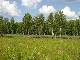 Ugra_06