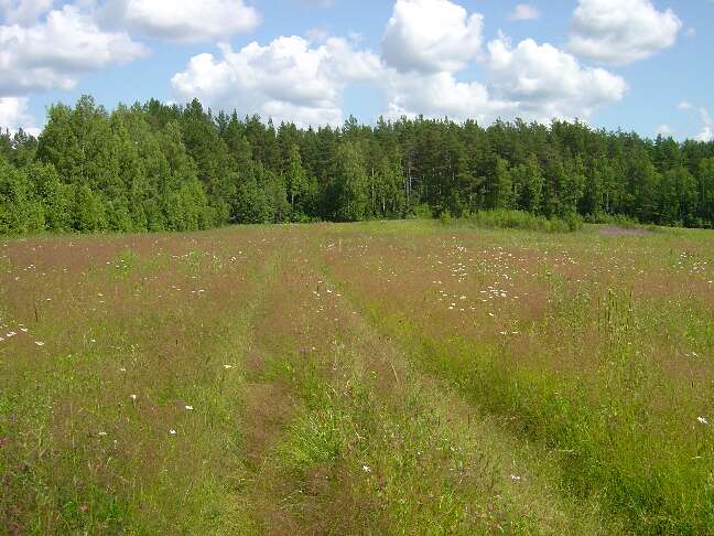 Ugra_07