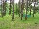 Ugra_10
