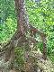 Ugra_12