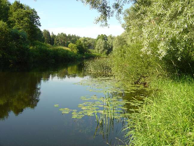 Ugra_16